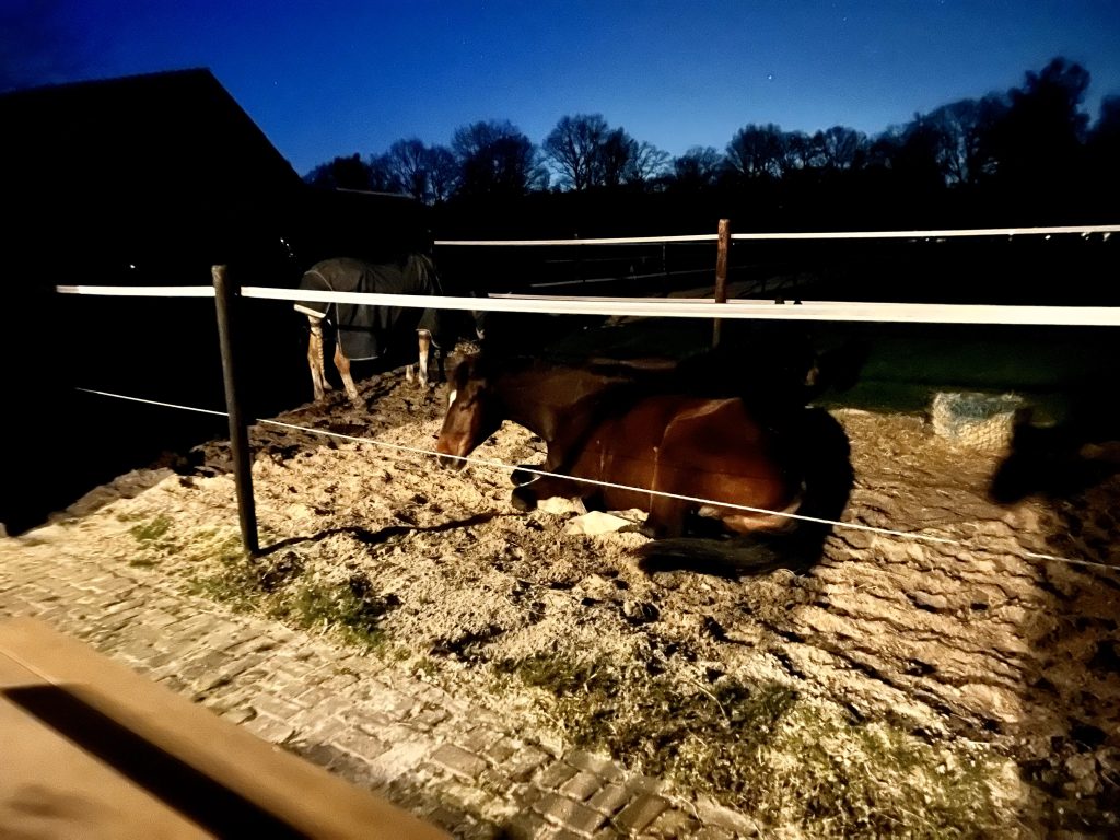 Zoemend Geluid 's Nachts Buiten